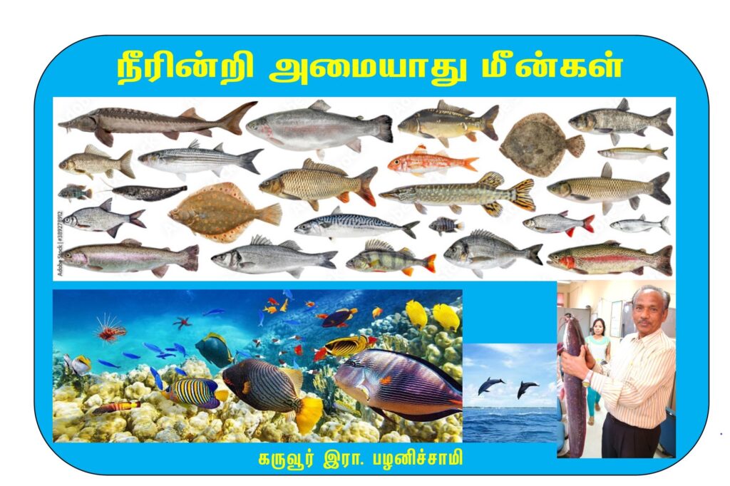 நீரின்றி அமையாது மீன்கள்   Alt