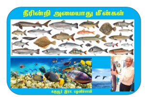 "நீரின்றி அமையாது உலகு" என்பது திருவள்ளூரின் வாக்கு. நீர் இல்லாமல் வாழ முடியாது. அந்த நீரோ, மழை இல்லாமல் கிடைக்காது. உயிர் வாழ்தல், தொழில் செய்தல் என எவ்வித உலகியல் செயல்பாடுகளுக்கும் நீர் இன்றியமையாதது. அந்த உயிர்காக்கும் நீர், மழை பொழிந்தால் மட்டுமே கிடைக்கும். மழை இல்லாவிட்டால் உலகில் அறநெறியும், ஒழுக்கமும் நிலைபெறாமல் போய்விடும் என விளக்கினார். அதேபோல் மீன்கள் உருவாக, உயிர் வாழ நமக்கெல்லாம் உணவாக நீர் மிக மிக அவசியம்